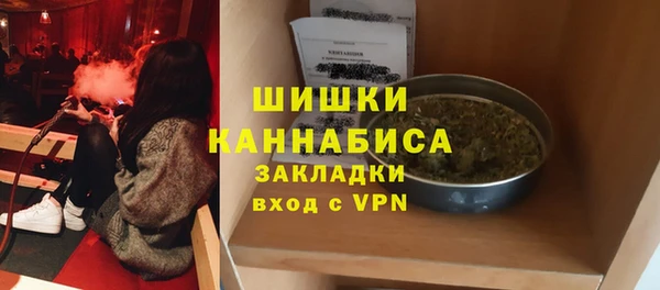 ГАЛЛЮЦИНОГЕННЫЕ ГРИБЫ Алексин