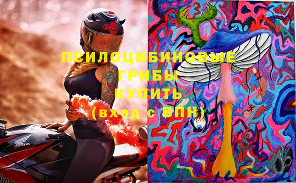 ГАЛЛЮЦИНОГЕННЫЕ ГРИБЫ Алексин