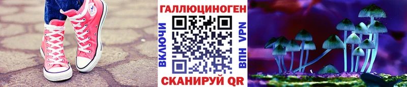 Галлюциногенные грибы мицелий  mega ССЫЛКА  Ужур 